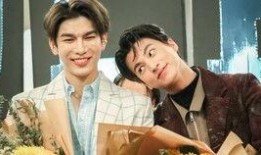 王的命令泰剧在线观看,泰剧在线观看，揭开宫廷秘史的神秘面纱